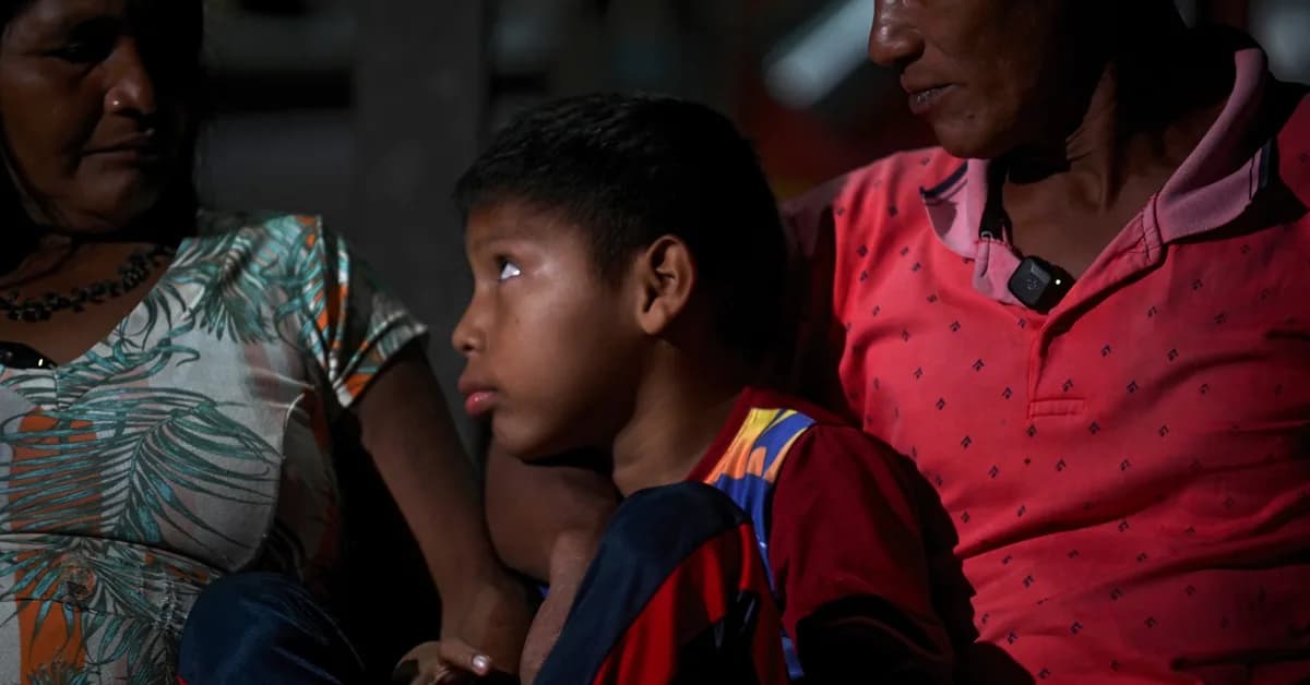 The Brazilian government keeps giving out mining licenses in the Amazon - in spite of evidence of gold 'laundering'