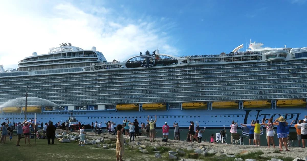 'Low' risk to public of hantavirus after cruise ship deaths, WHO says