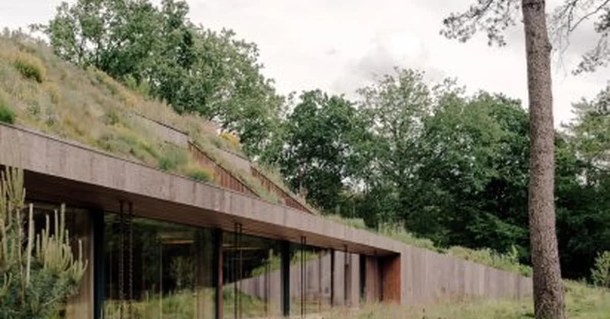 Grass-topped Dutch office by Studio Massimo "adds habitat rather than taking it"