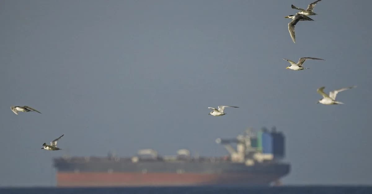 US-Iran ceasefire brings little relief as Hormuz shipping barely moves