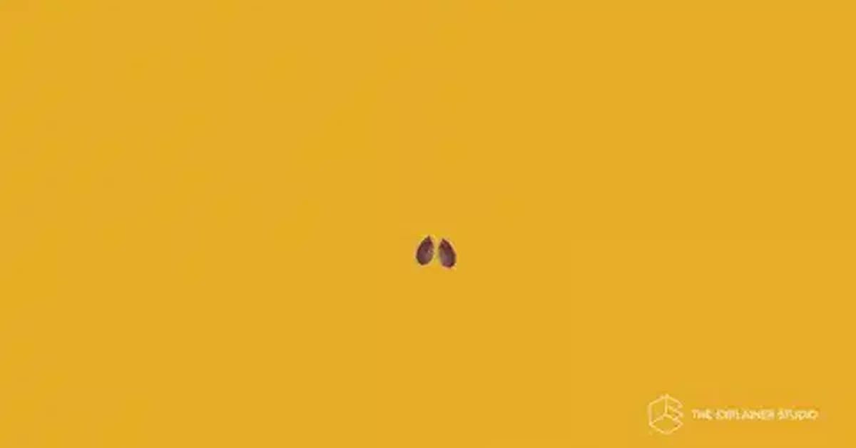 You're Not Stuck. You're Just Growing Roots