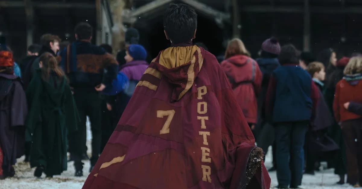 There is no ethical consumption of HBO's Harry Potter series