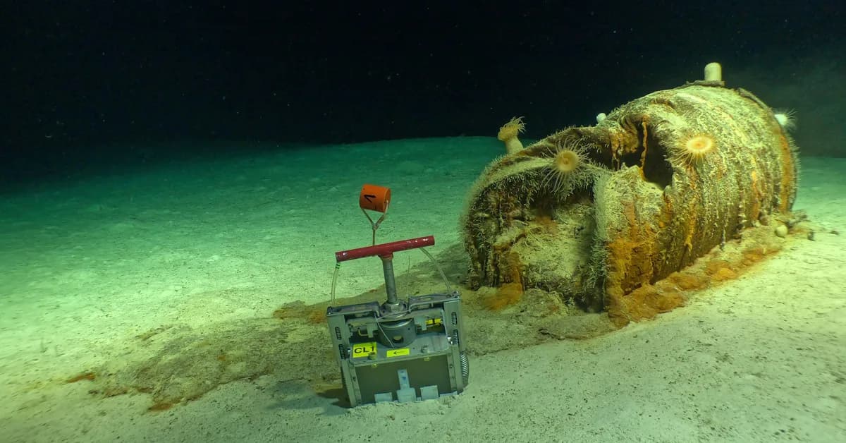 The Low-Level Waste Dumps in The Atlantic Have Become Ecosystems