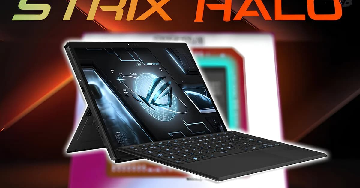 Breaking the MoE Speculative Trap: 460 t/s on AMD Strix Halo