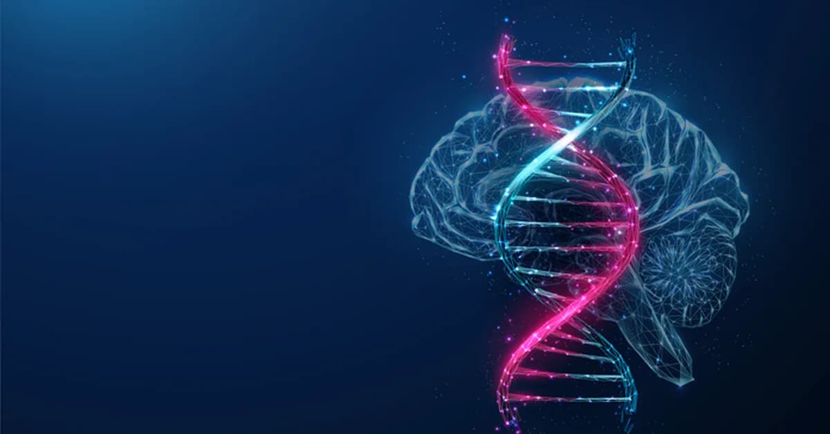 Long‑Range Gene Networks Uncover 641 New Schizophrenia‑Associated Genes