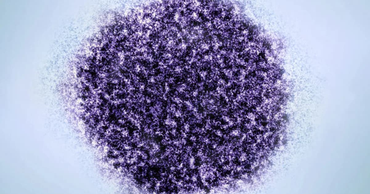 New U.S. recommendation on hepatitis B vaccine will have dire consequences, studies project