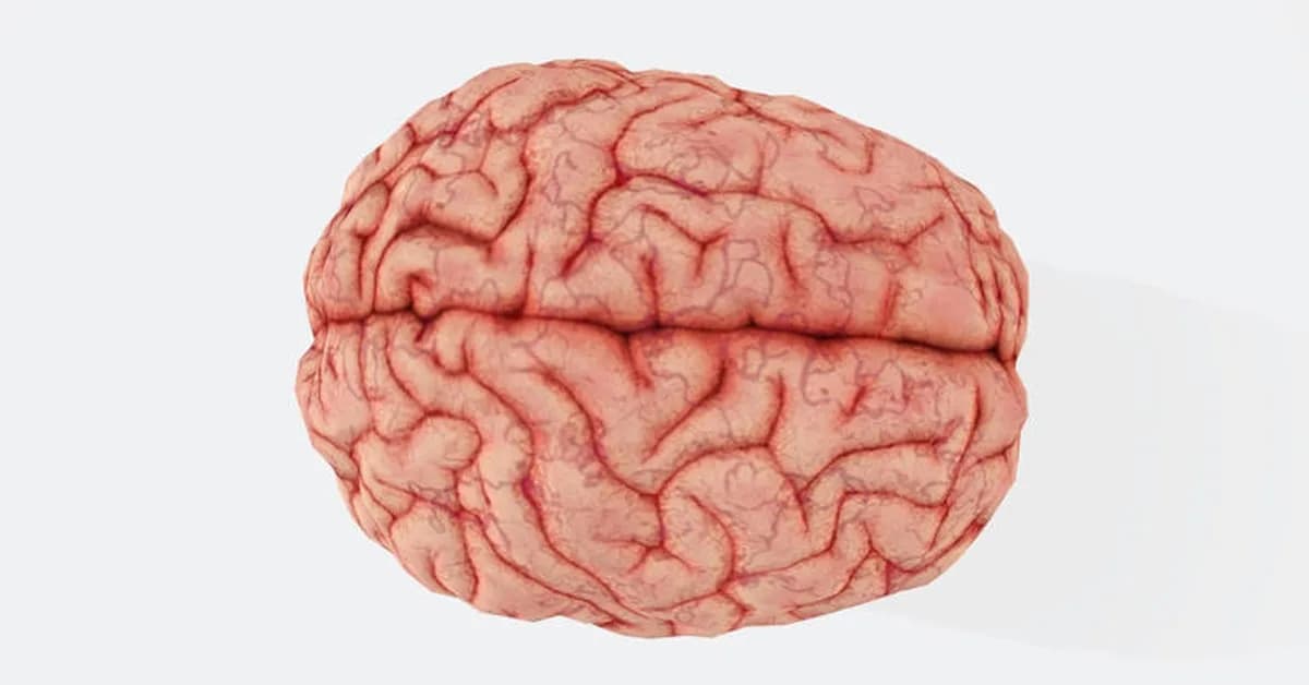 Life with AI causing human brain 'fry'