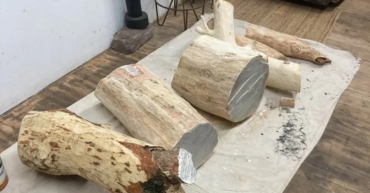 Saved by the Logs (And the Human Who Read Them)