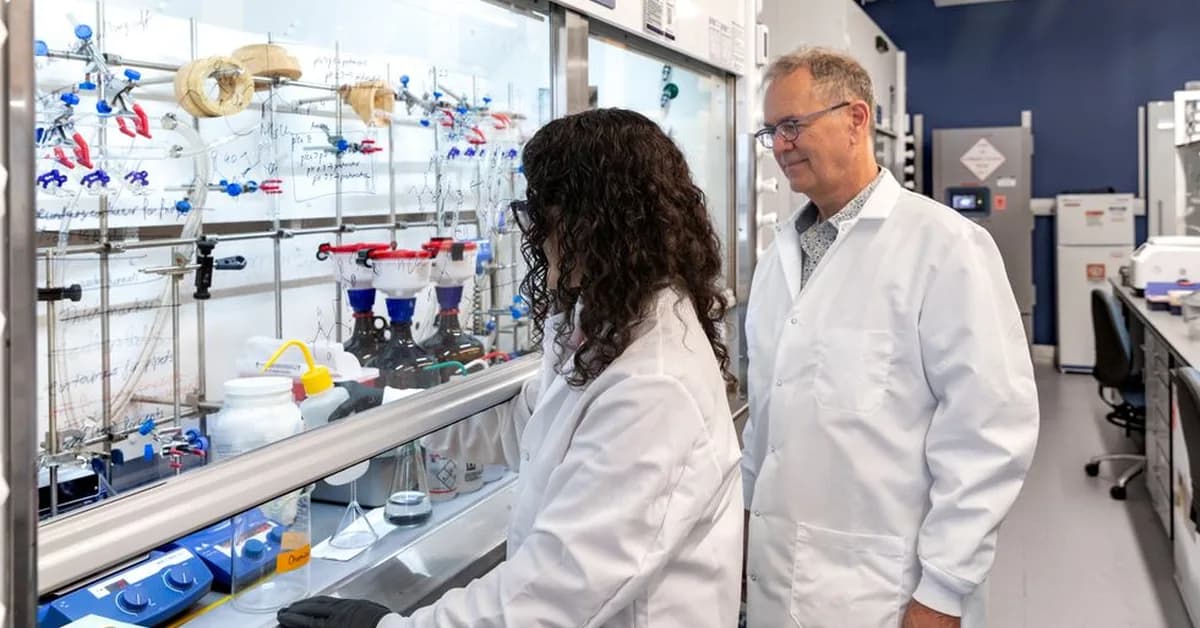 Engineering Collisions: How NYU Is Remaking Health Research