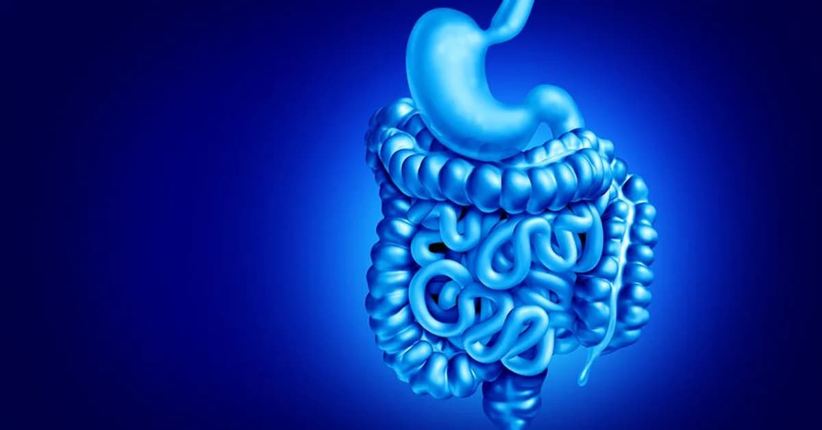 Single-Cell RNA Sequencing Reveals Gene Activity Changes in Crohn's Disease