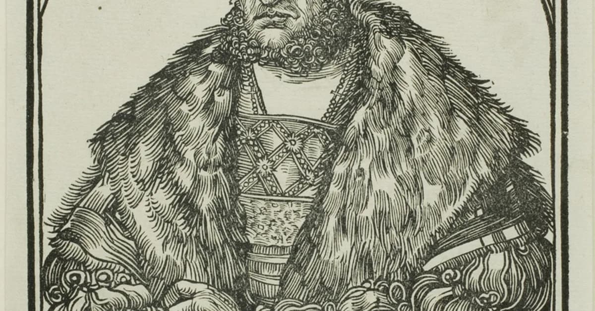 Escaped wolf forces school closure in South Korea