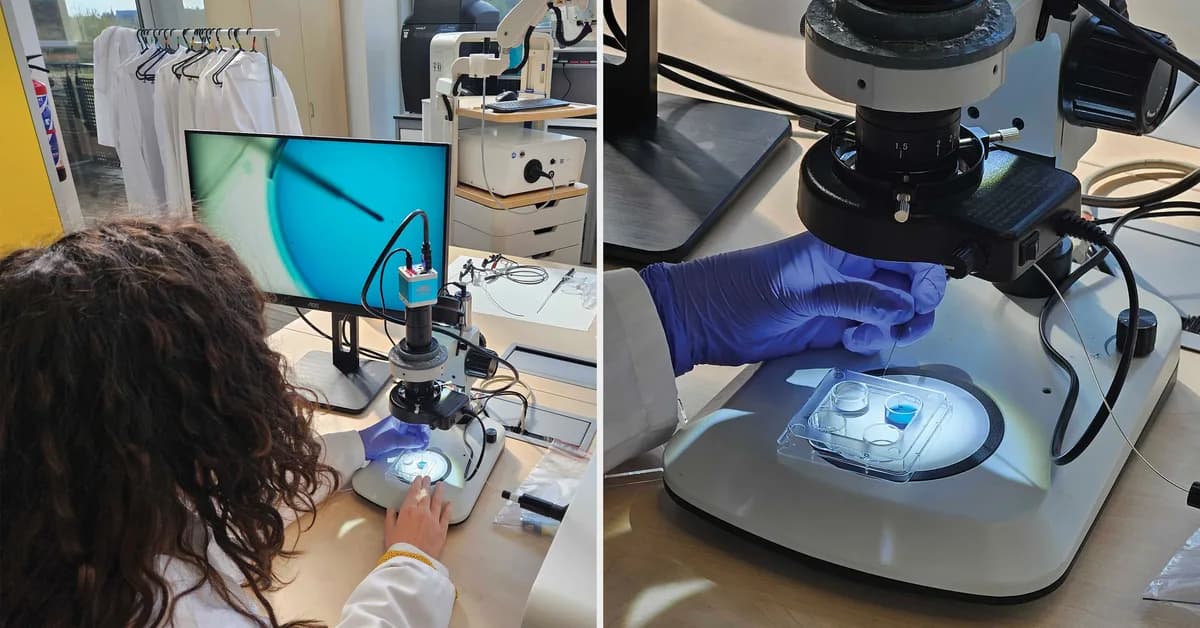 What's next for IVF