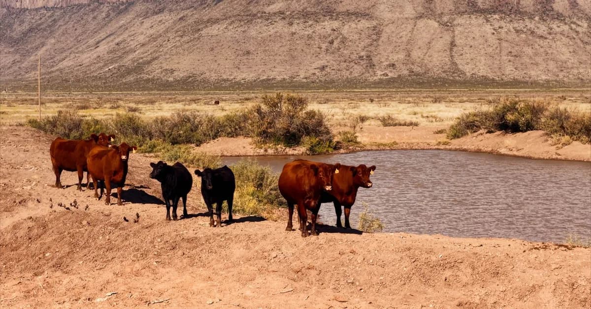 Heritage Ranch in Texas Sells for $46M After 60 Years in Same Family
