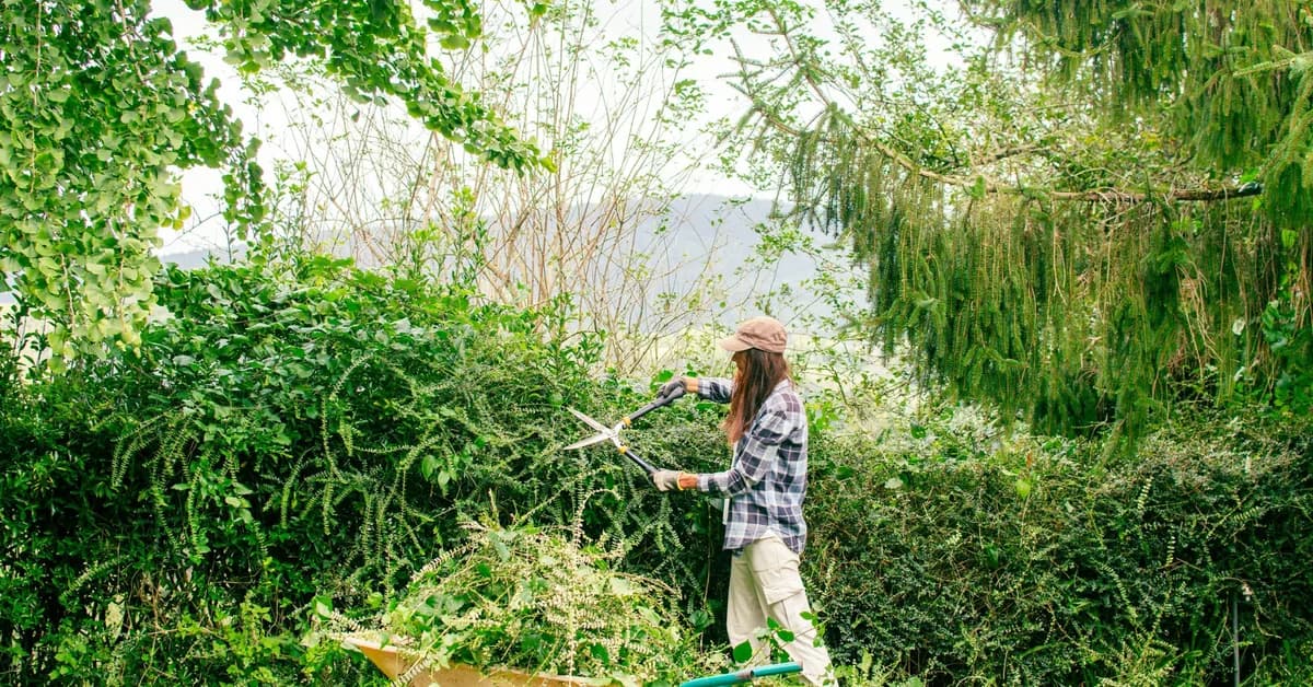 The Chaos Gardening Trend Is Slashing Maintenance Bills for Homeowners