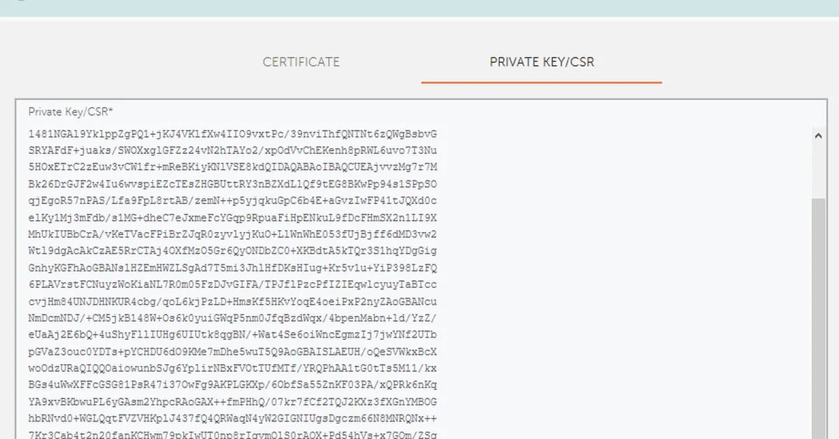 SSL Certificate Decoder: How to Read and Analyze Any Certificate