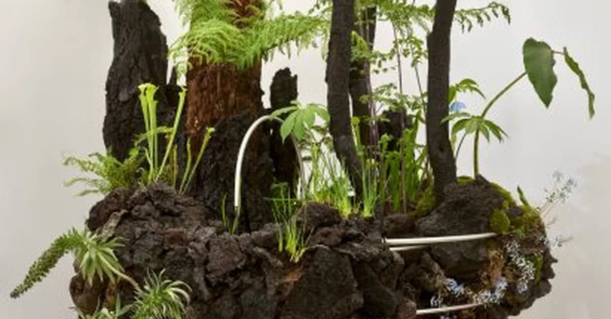 Of-A reimagines indoor gardens as "geological and futuristic" living objects at Chelsea Flower Show