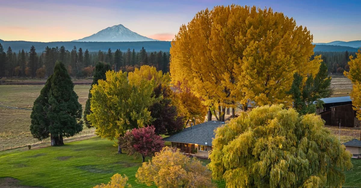 Billionaire Meg Whitman's Trophy California Fishing Ranch Hits the Market for $18.5 Million