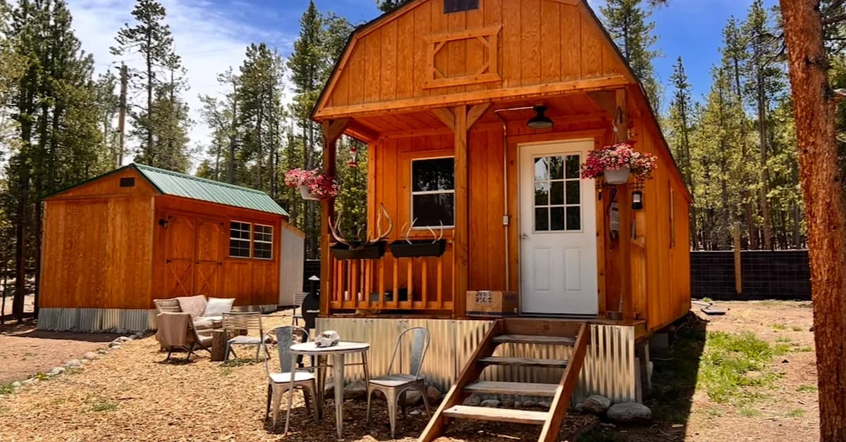 A couple bought a 380-square-foot shed for $12,000 and turned it into a tiny home they share with their 3 dogs