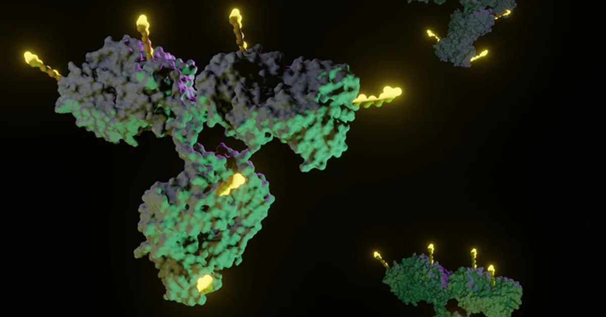 Lonza Boosts Advanced Synthesis Capabilities for Bioconjugates