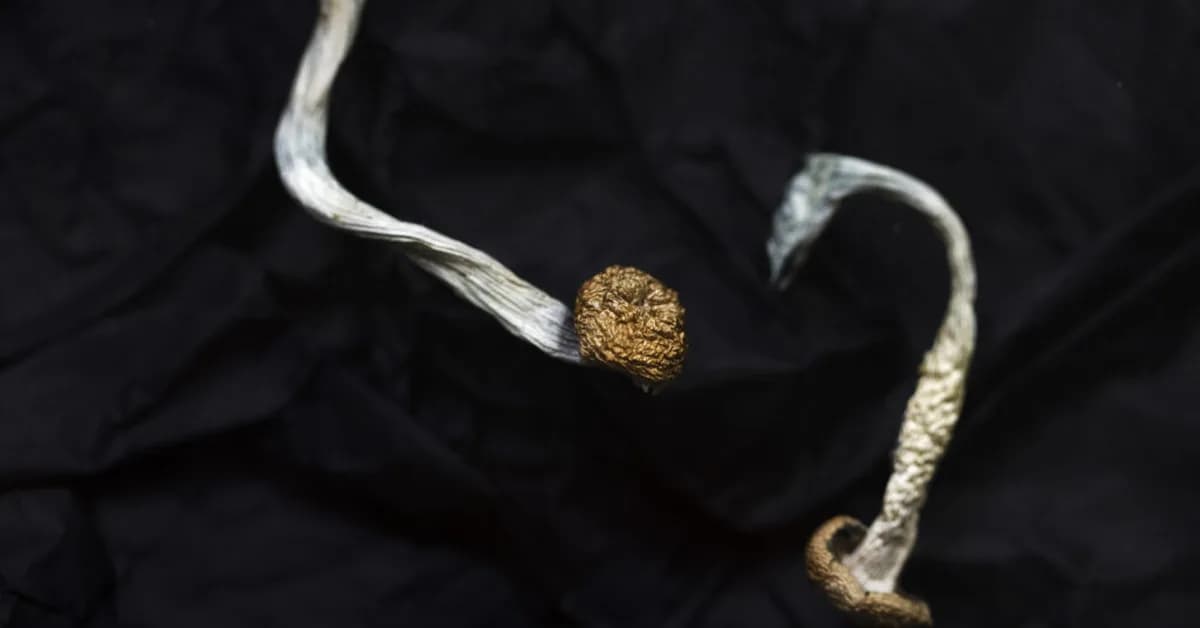 STAT+: Compass says its psilocybin drug helped patients with severe depression in two trials