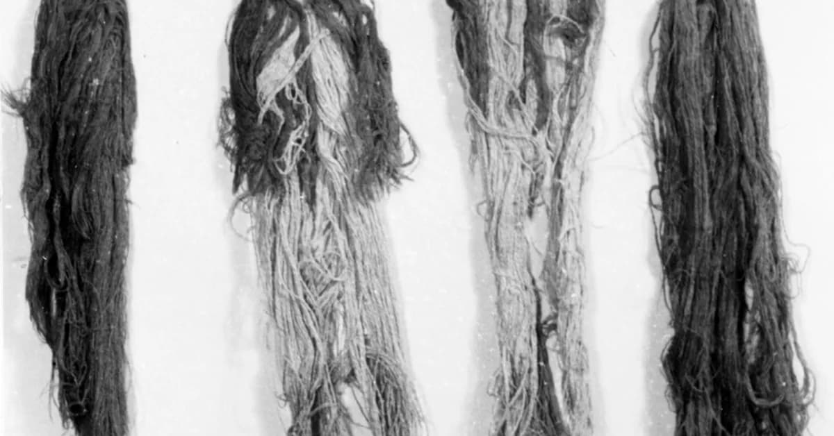 Face-D(^2)CL: Multi-Domain Synergistic Representation with Dual Continual Learning for Facial DeepFake Detection