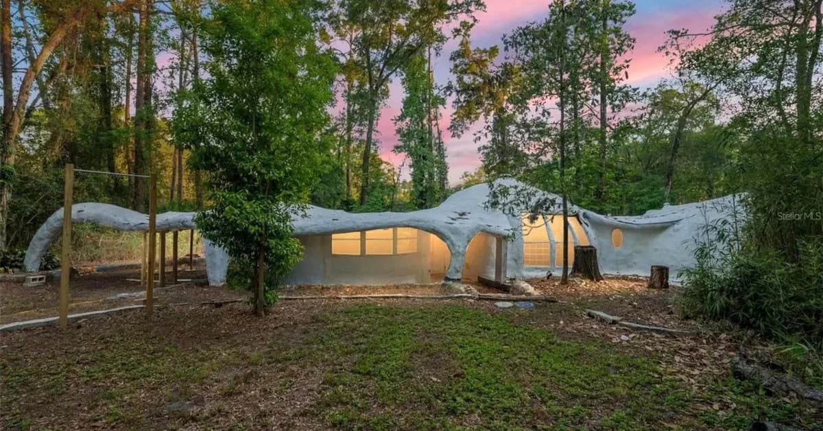 Foam Dome Home With 'Not a Single Straight Line' Hits the Market in Florida for $249K: 'A Genuine Original'
