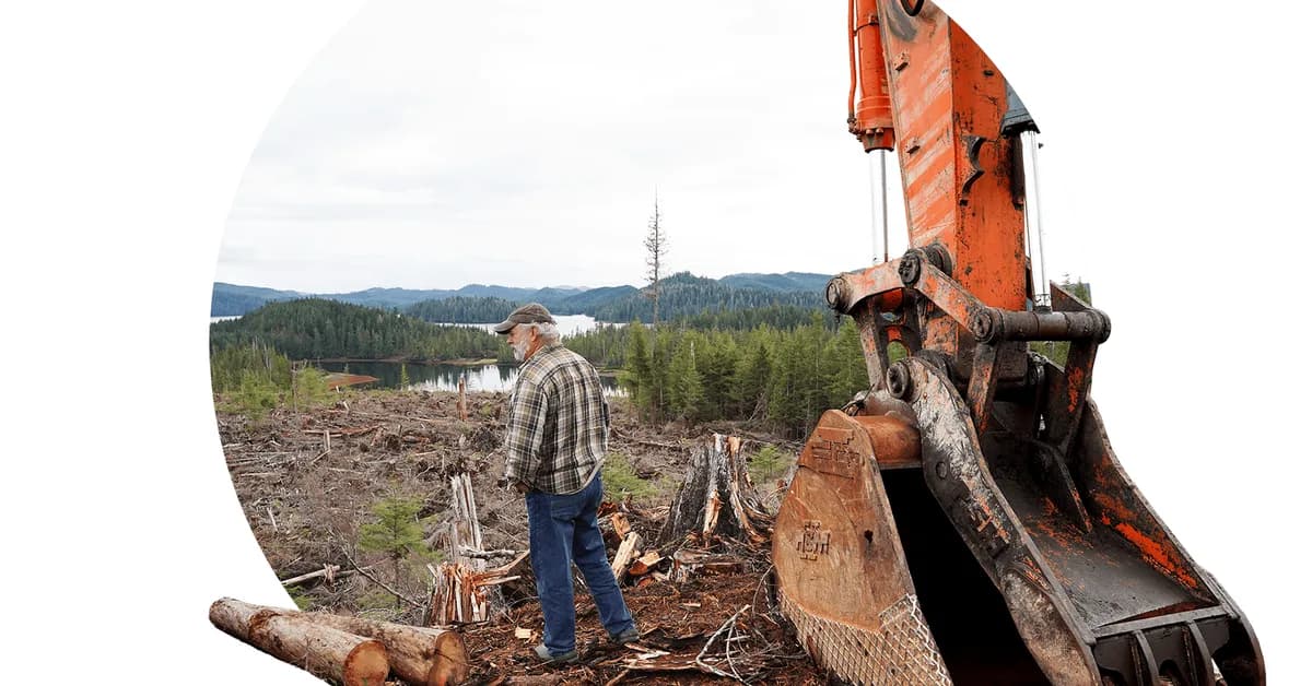 The Trump administration wants to take an ax to the East's last great forests