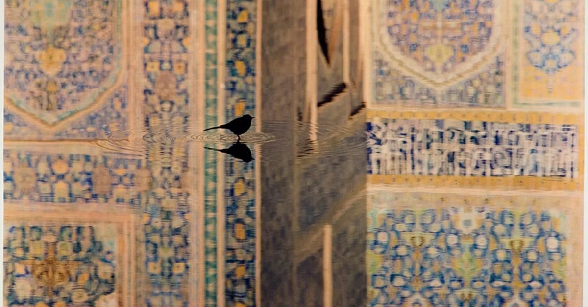 Stock market winners and losers one month into US-Israel war on Iran