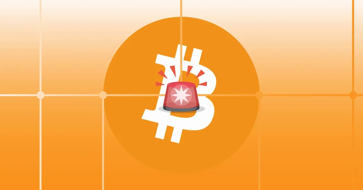 Bitcoin bug allowed miners to run code on other people's nodes
