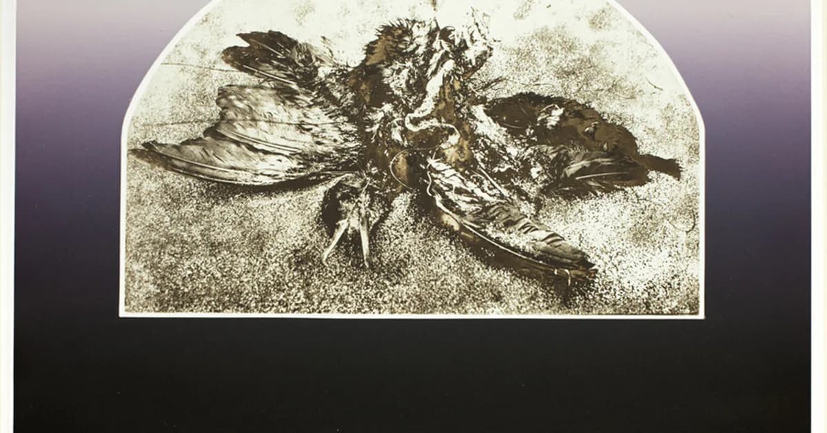 Jimmy Kimmel follows Kid Rock's lead, performs alternative "All-American" WHCD roast