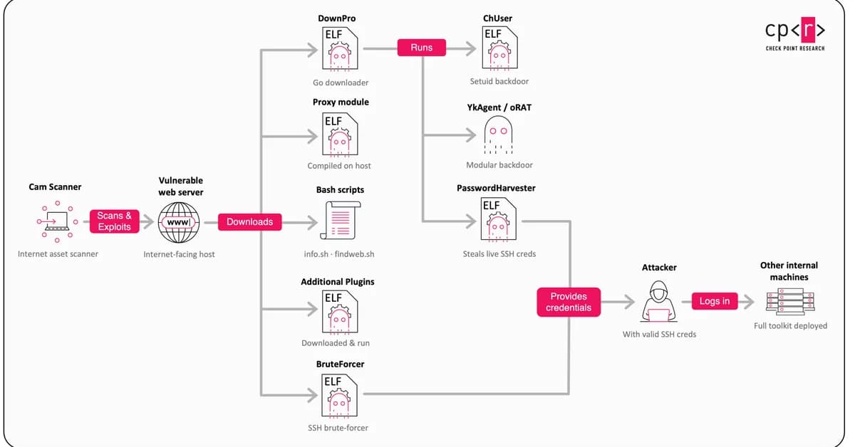 Gaming the system: how a Chinese-speaking actor turned Brazilian government sites into an SEO weapon