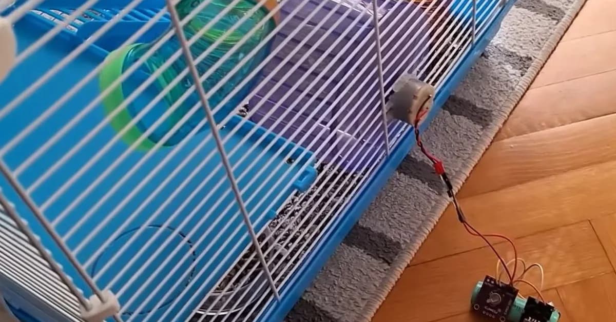 Using Hamster Power to Charge a Phone