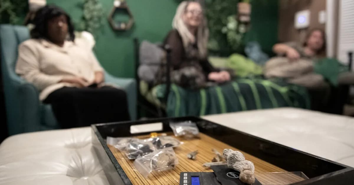 Opinion: I took part in a 2012 psilocybin trial. What I'm seeing now horrifies me