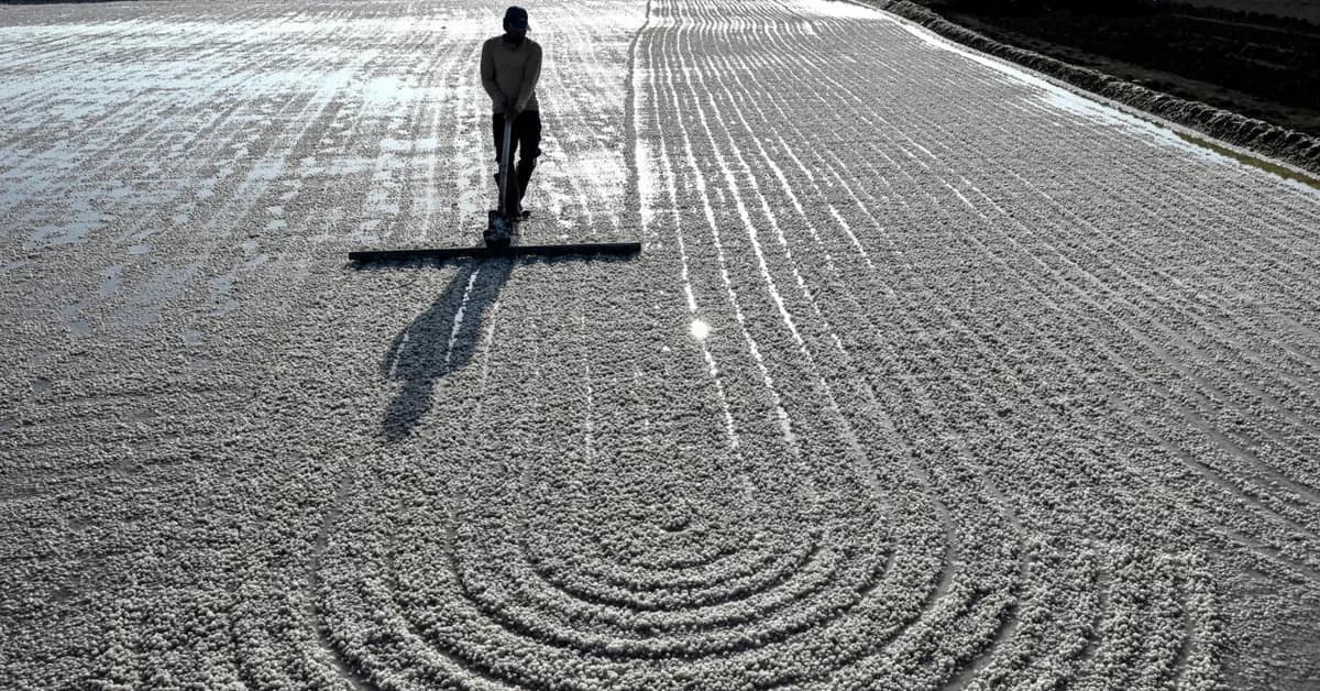 No trees, no fans: surviving extreme heat in India's salt pans