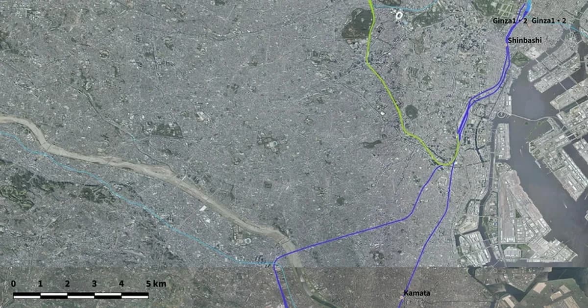 Constructing a Station-Level Statistical Manifold with Dual Flat Structure from Pedestrian Trajectories