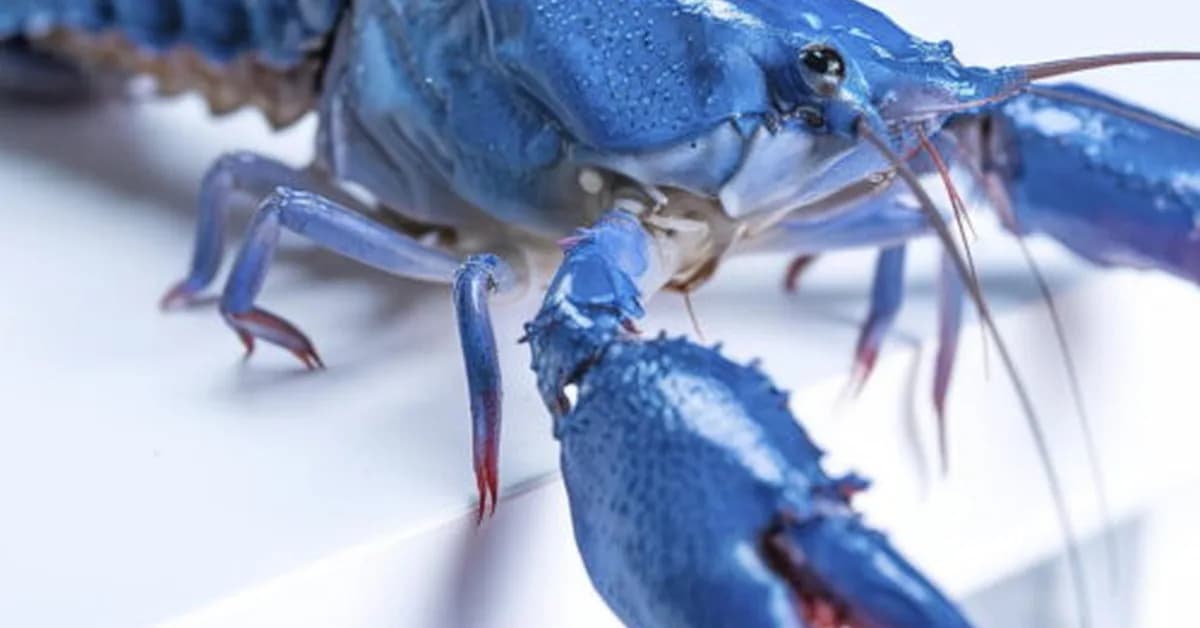 OpenClaw gives users yet another reason to be freaked out about security