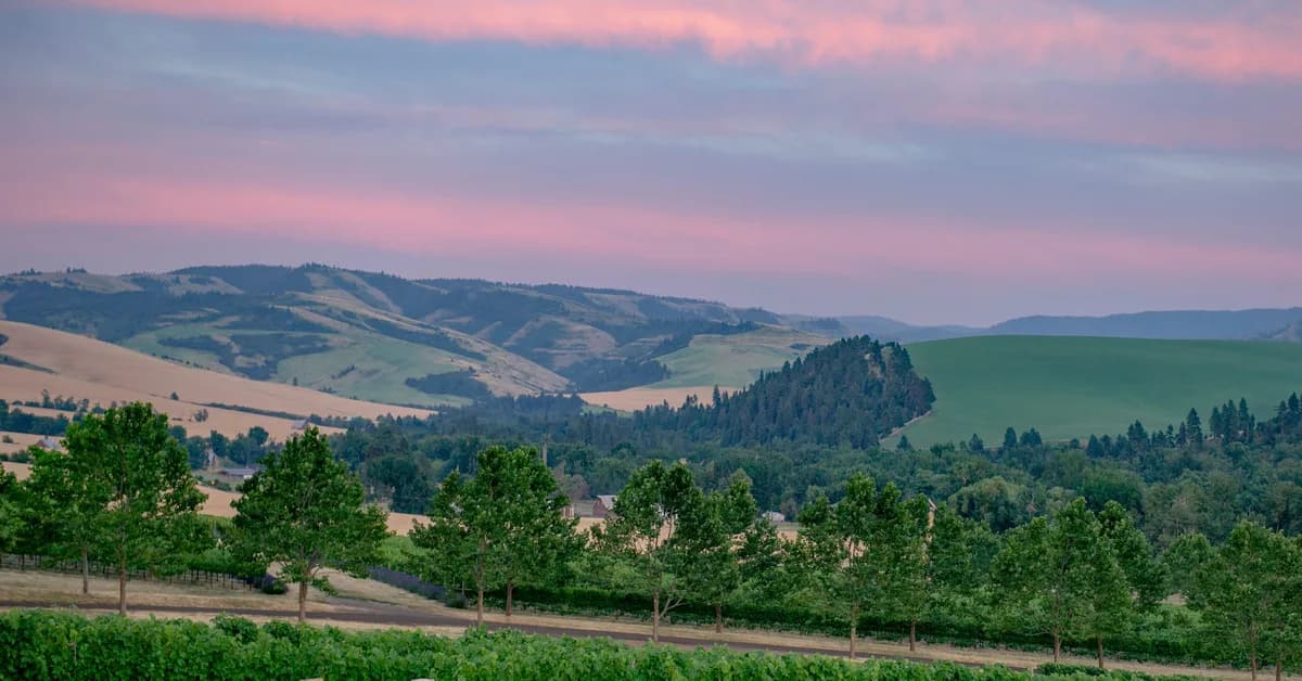 I thought Napa was the gold standard for wine trips. Then, a city in Washington changed what I look for in a vacation.