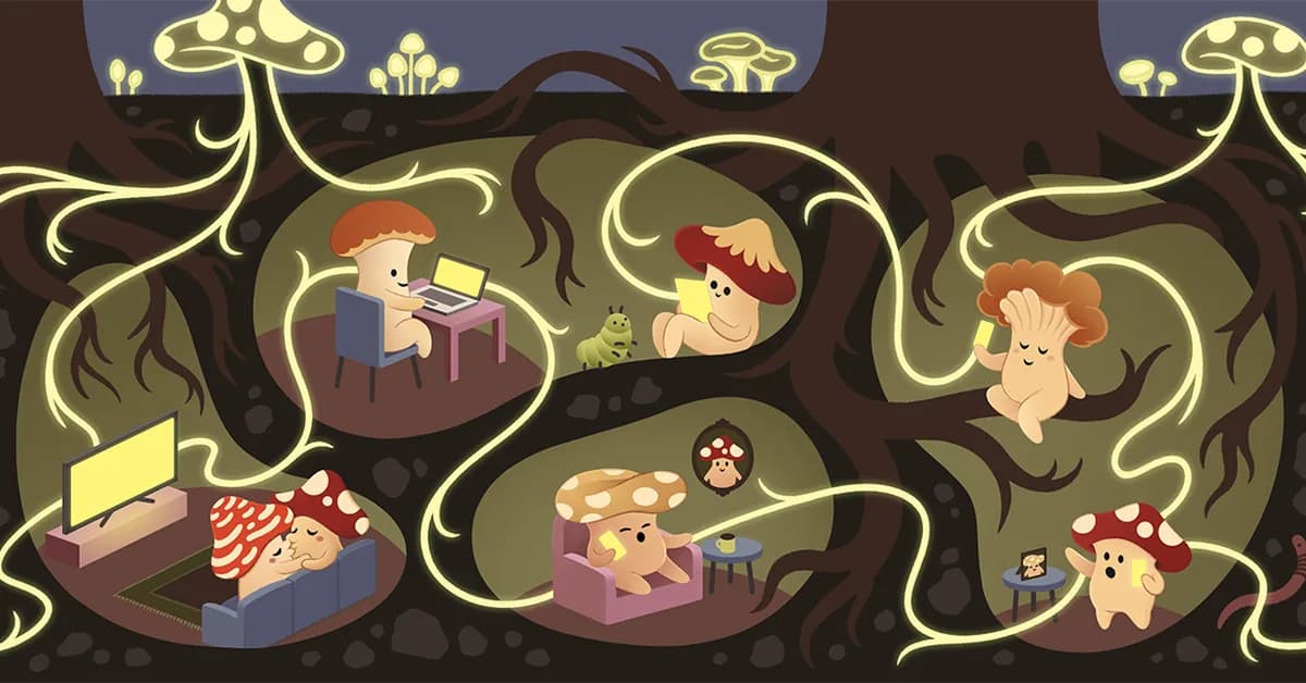 The Open Social Web Needs Section 230 to Survive