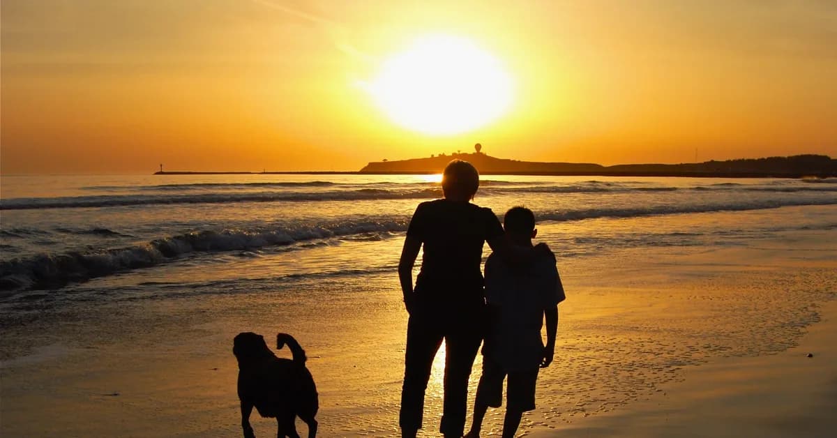 I sent my son to Australia alone when he was 13 so he'd be more independent. Now that he's an adult, I get advice from him.