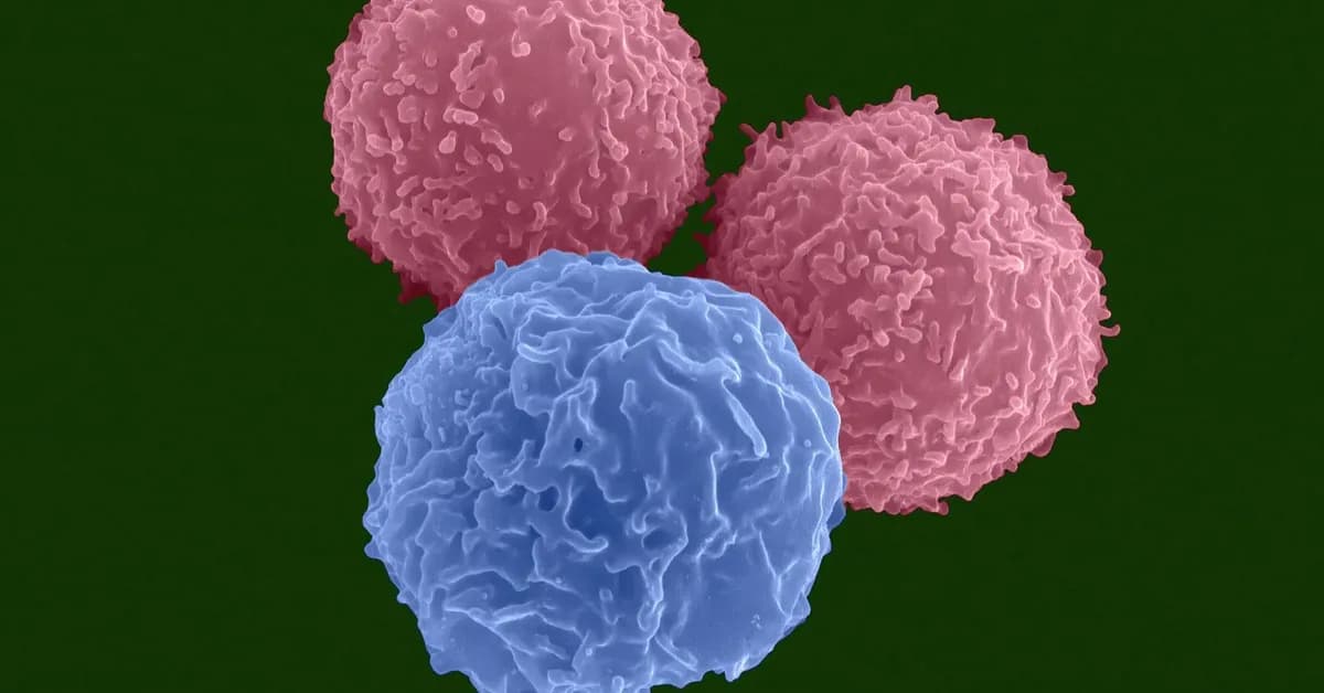 BreezeBio banks $60M to make more precise genetic medicines