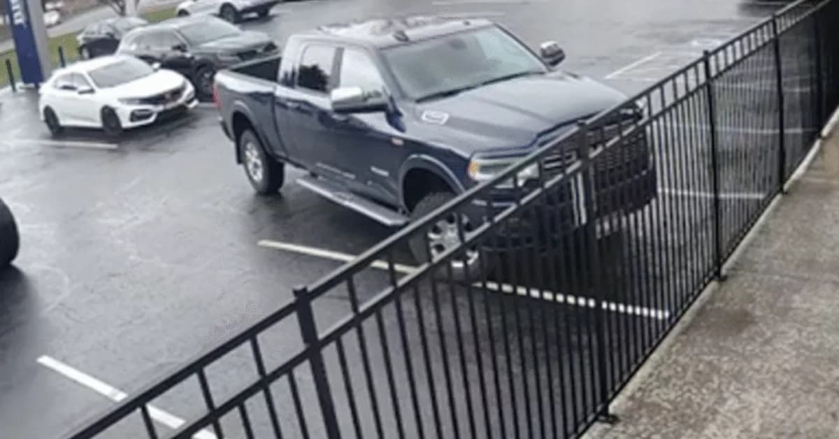 Ninth Circuit Judge Ryan Nelson Charged With Battery Over Parking Lot Rumble