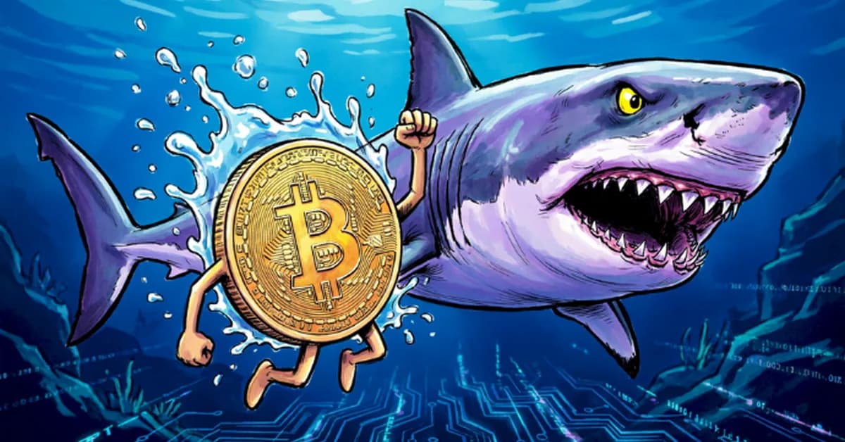 Asia has not opened yet: What will the first bell reveal about Bitcoin and oil?