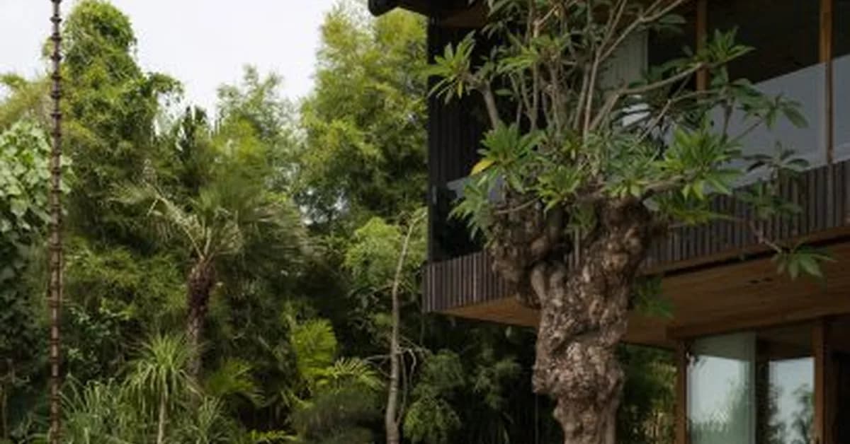 Earth Lines draws on vernacular materials and forms for Bali home