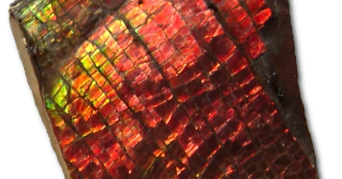 From ancient seas to advanced materials: How Canada's ammolite is inspiring the next generation of colour technologies