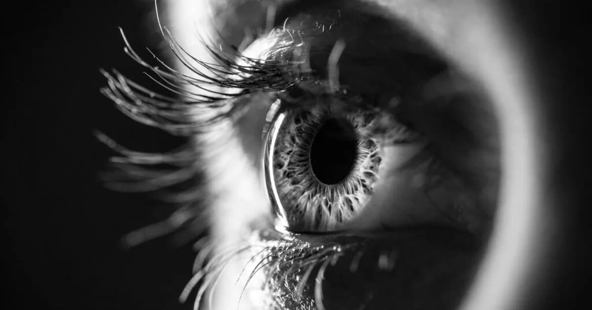 STAT+: Ocular's experimental eye drug beats low dose of Regeneron's Eylea in late-stage trial