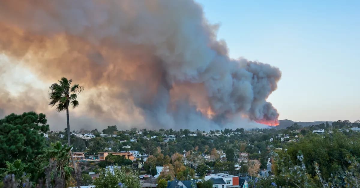 Growing evidence points to link between autism and wildfire smoke