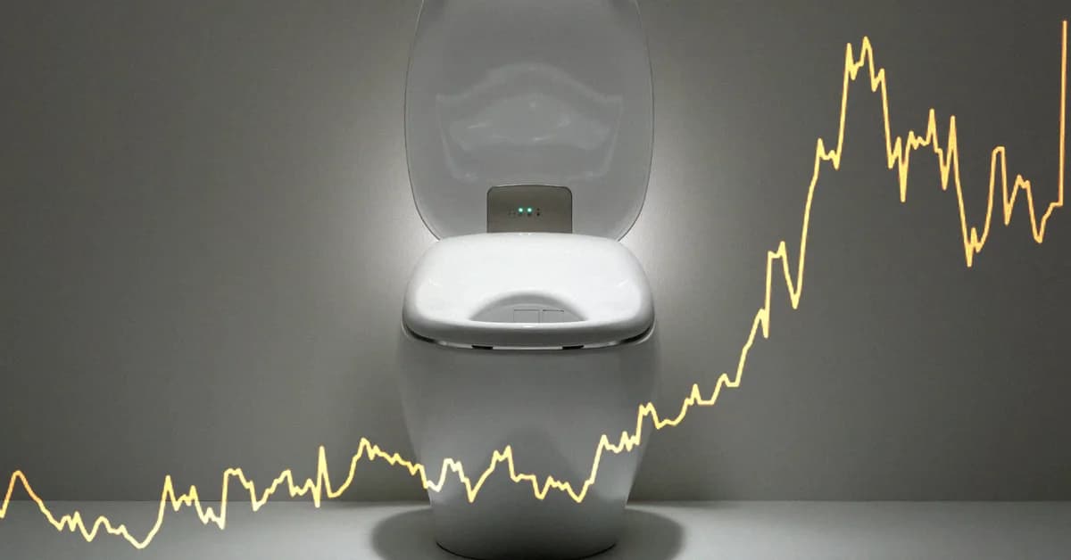 Toilet Maker Spikes in Value as It Flushes Money Into AI