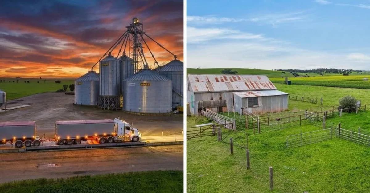 More SA farming land hits market following high-profile sales