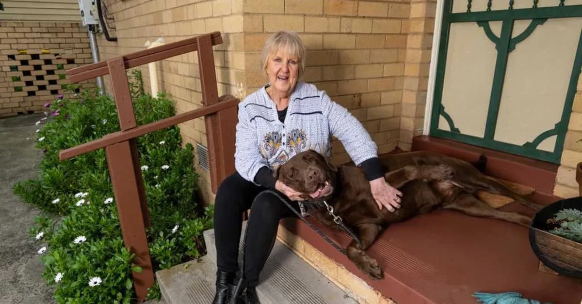 Local reveals how Frankston North changed its 'reputation' for the better
