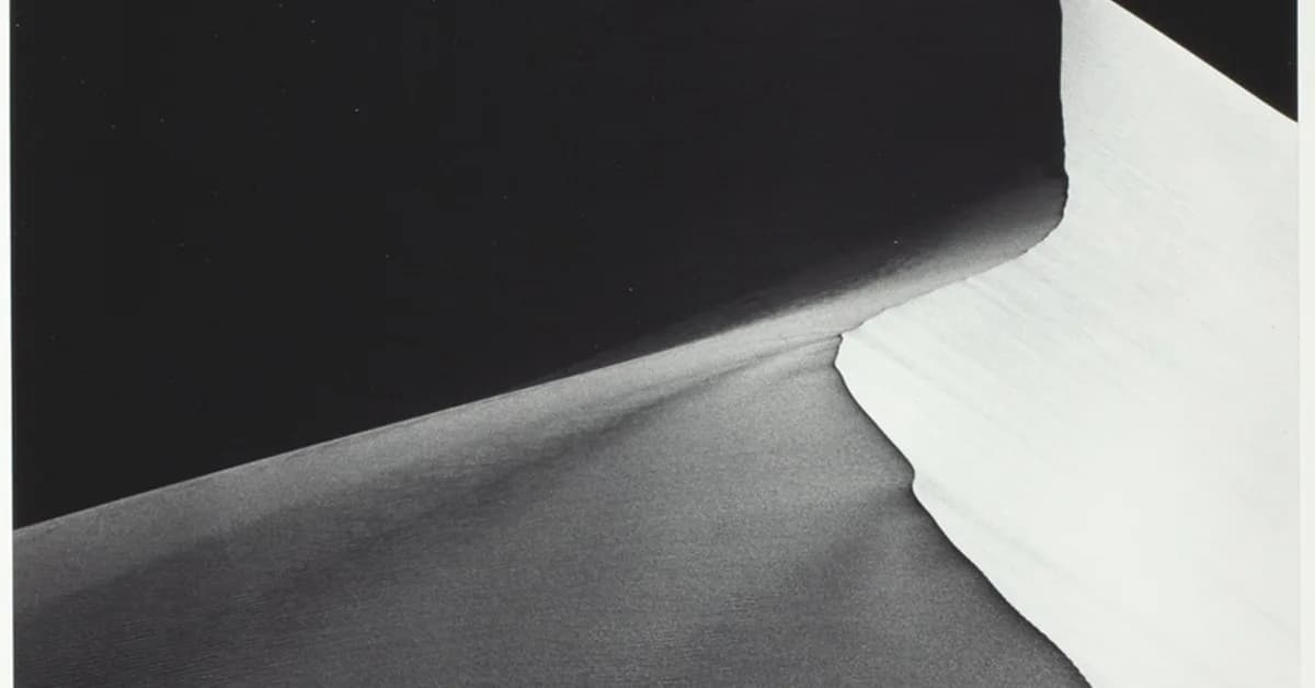 Big banks petitioned to save Amazon rainforests